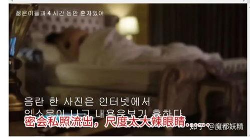 网红明星瓜在哪吃,瓜在哪吃，美味尽享